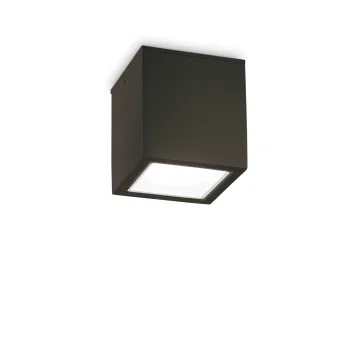 Lampa sufitowa zewnętrzna TECHO PL1 BIG czarna 251530 - Ideal Lux